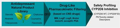 In Silico Pharmacogenetics CYP2D6 Study Focused on the Pharmacovigilance of Herbal Antidepressants